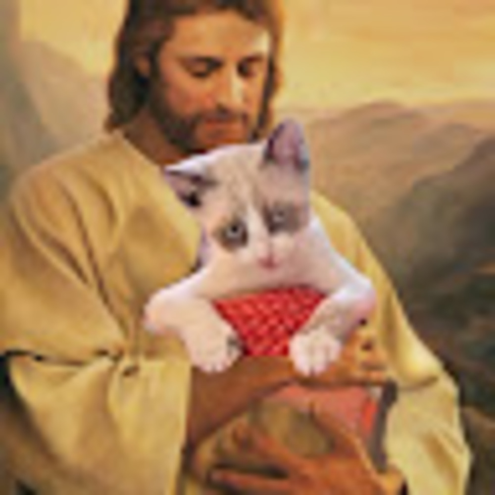 Meet your Posher, Fish